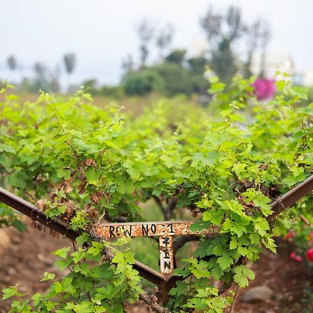 V Resorts Soma Vine Village Mahiravani Ngoại thất bức ảnh