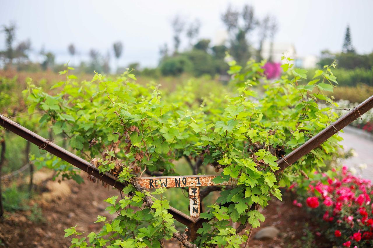 V Resorts Soma Vine Village Mahiravani Ngoại thất bức ảnh