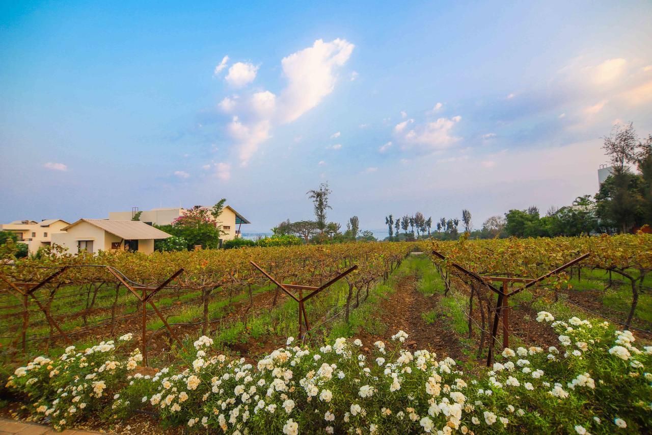 V Resorts Soma Vine Village Mahiravani Ngoại thất bức ảnh