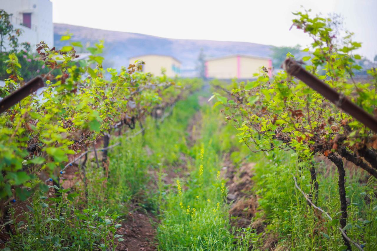 V Resorts Soma Vine Village Mahiravani Ngoại thất bức ảnh